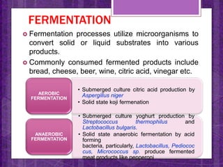 Liquid Fermentation Process Industrial bioreactors | PPTX
