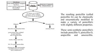 The resulting penicillin (called
penicillin G) can be chemically
and enzymatically modified to
make a variety of penicillin's
with slightly different properties.
These semi-synthetic penicillin's
include penicillin V, penicillin O,
ampicillin and amoxicillin.
 