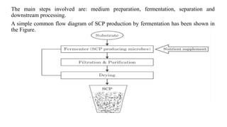 fermentation technology | PPTX