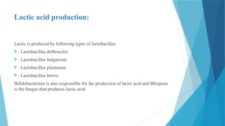 Lactic acid production:
Lactic is produced by following types of lactobacillus
 Lactobacillus delbrueckii
 Lactobacillus bulgarious
 Lactobacillus plantarum
 Lactobacillus brevis
Bifidobacterium is also responsible for the production of lactic acid and Rhizpous
is the fungus that produces lactic acid.
 