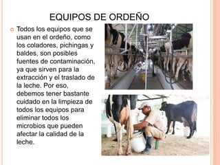 EQUIPOS DE ORDEÑO
 Todos los equipos que se
usan en el ordeño, como
los coladores, pichingas y
baldes, son posibles
fuentes de contaminación,
ya que sirven para la
extracción y el traslado de
la leche. Por eso,
debemos tener bastante
cuidado en la limpieza de
todos los equipos para
eliminar todos los
microbios que pueden
afectar la calidad de la
leche.
 