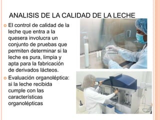ANALISIS DE LA CALIDAD DE LA LECHE
 El control de calidad de la
leche que entra a la
quesera involucra un
conjunto de pruebas que
permiten determinar si la
leche es pura, limpia y
apta para la fabricación
de derivados lácteos.
 Evaluación organoléptica:
si la leche recibida
cumple con las
características
organolépticas
 