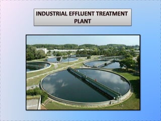Industrial Effluent Treatment Plant in Chennai.pptx