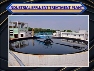 Industrial Effluent Treatment Plant Manufacturers in Tamilnadu.pptx
