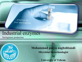Industrial enzymes
Naringinase production
By
Mohammad pooya naghshbandi
Microbial biotechnologist
At
University of Tehran
 