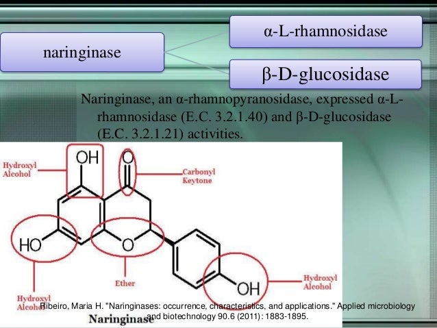 NARINGINASE ENZYME EPUB NARINGINASE ENZYME EPUB