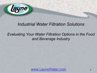 Industrial Water Filtration Solutions

Evaluating Your Water Filtration Options in the Food
              and Beverage Industry




              www.LayneWater.com                 1
 