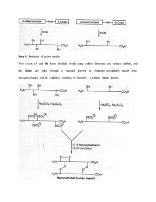 Industrial Production of Insulin | DOCX