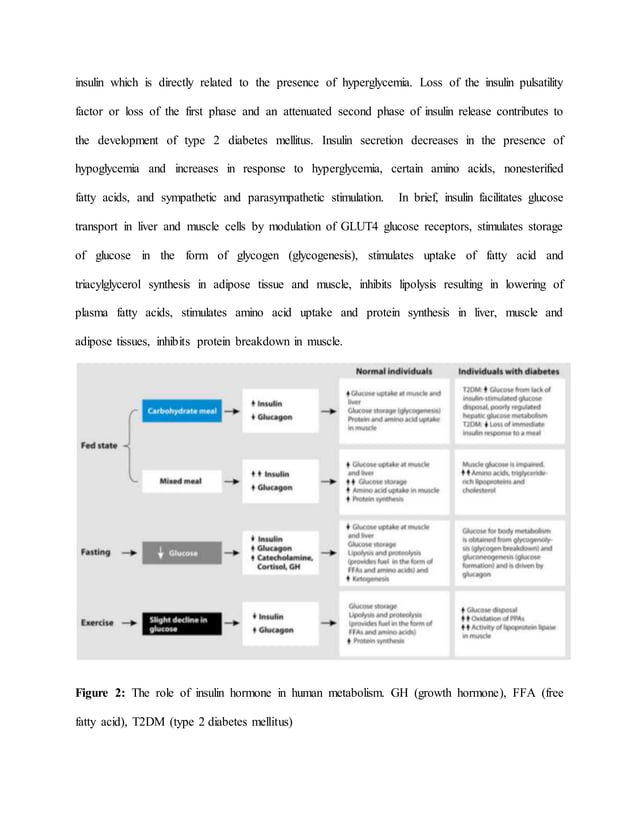 Industrial Production of Insulin