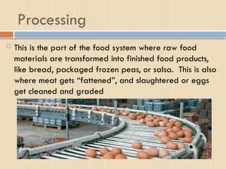 Industrial Food System.pptx- MATLE 207 HE | PPTX