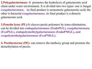 Polygalacturonase Industrial fungal metabolites enzymes pectinases | PPTX