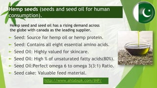 ► Seed: Source for hemp oil or hemp protein.
► Seed: Contains all eight essential amino acids.
► Seed Oil: Highly valued f...