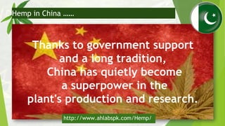 Thanks to government support
and a long tradition,
China has quietly become
a superpower in the
plant's production and res...