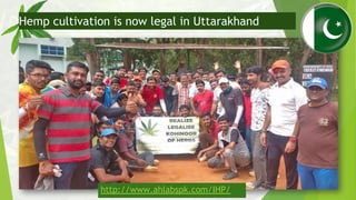 Hemp cultivation is now legal in Uttarakhand
http://www.ahlabspk.com/IHP/
 