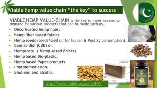 Viable hemp value chain “the key” to success
VIABLE HEMP VALUE-CHAIN is the key to meet increasing
demand for various prod...