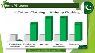 Hemp VS cotton
http://www.ahlabspk.com/IHP/
 