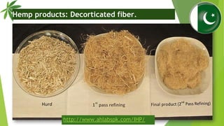 Hemp products: Decorticated fiber.
http://www.ahlabspk.com/IHP/
 