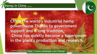 China the world's industrial hemp
powerhouse Thanks to government
support and a long tradition,
China has quietly become a...
