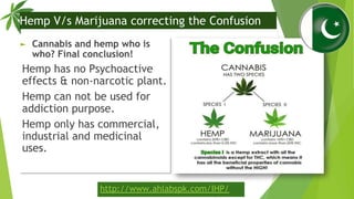 Hemp V/s Marijuana correcting the Confusion
► Cannabis and hemp who is
who? Final conclusion!
Hemp has no Psychoactive
eff...
