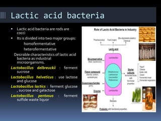 Lactics Micro INDUSTRIAL IMPORTANT MICROBES .pptx