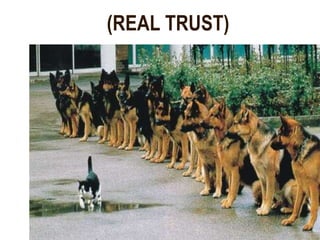 (REAL TRUST) 