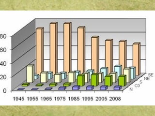 Industrialização+brasileira 1