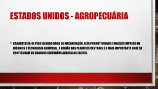 ESTADOS UNIDOS - AGROPECUÁRIA
• CARACTERIZA-SE PELO ELEVADO GRAU DE MECANIZAÇÃO, ALTA PRODUTIVIDADE E MACIÇO EMPREGO DE
INSUMOS E TECNOLOGIA AGRÍCOLA.. A REGIÃO DAS PLANÍCIES CENTRAIS É A MAIS IMPORTANTE ONDE SE
CONFIGURAM OS GRANDES CINTURÕES AGRÍCOLAS (BELTS).
 