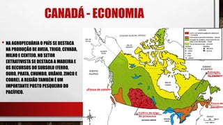 CANADÁ - ECONOMIA
• NA AGROPECUÁRIA O PAÍS SE DESTACA
NA PRODUÇÃO DE AVEIA, TRIGO, CEVADA,
MILHO E CENTEIO. NO SETOR
EXTRATIVISTA SE DESTACA A MADEIRA E
OS RECURSOS DO SUBSOLO (FERRO,
OURO, PRATA, CHUMBO, URÂNIO, ZINCO E
COBRE). A REGIÃO TAMBÉM É UM
IMPORTANTE POSTO PESQUEIRO DO
PACÍFICO.
 