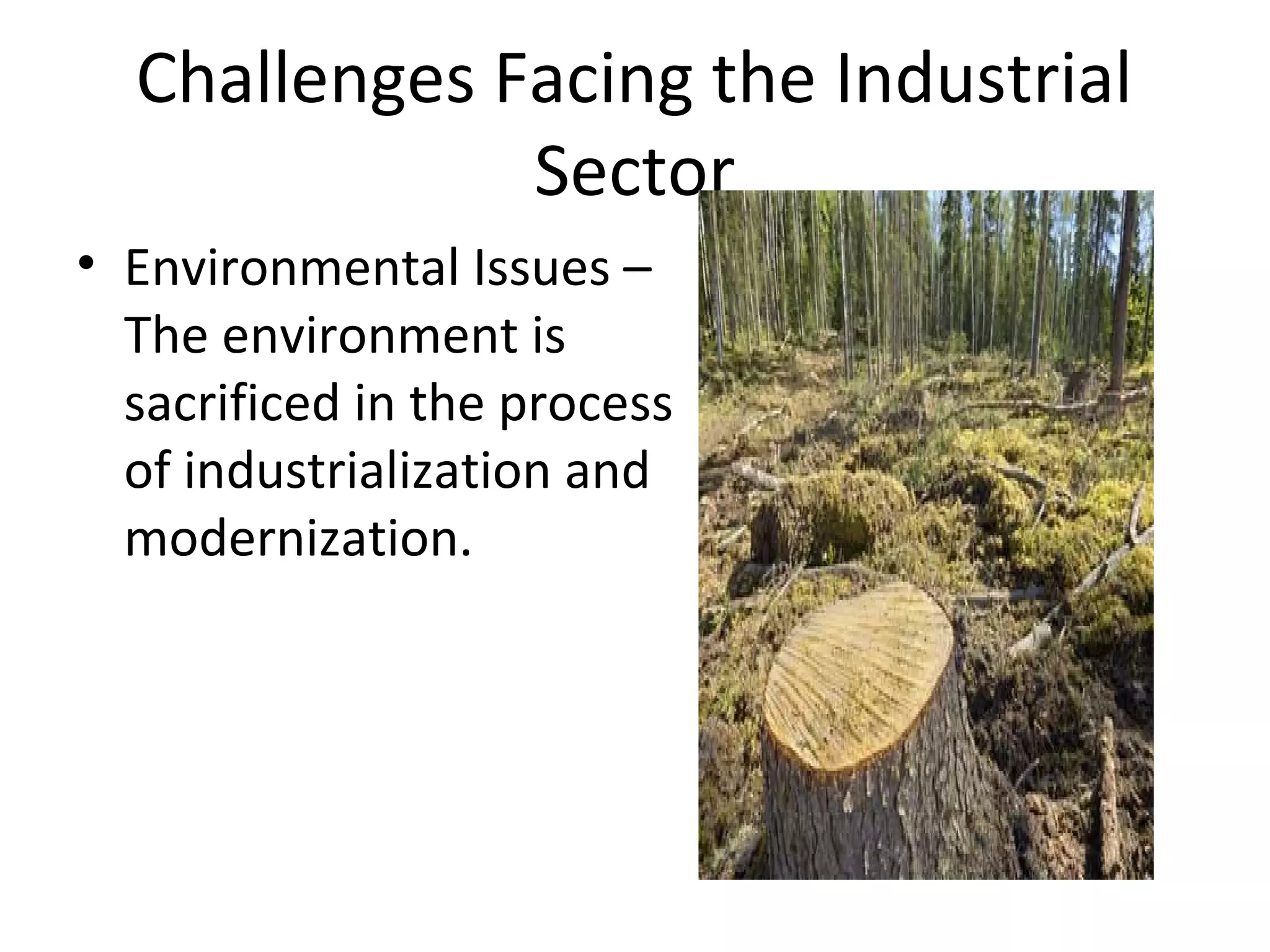 Challenges Facing the Industrial
Sector
• Environmental Issues –
The environment is
sacrificed in the process
of industrialization and
modernization.
 
