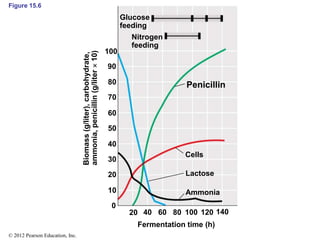Figure 15.6
Glucose
feeding
Nitrogen
feeding
Cells
Lactose
Ammonia
Penicillin
Fermentation time (h)
Biomass
(g/liter),
carbohydrate,
ammonia,
penicillin
(g/liter

10)
100
90
80
70
60
50
40
30
20
10
0
20 40 60 80 100 120 140
© 2012 Pearson Education, Inc.
 