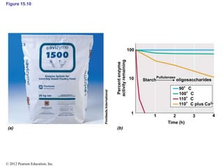 Figure 15.10
Starch oligosaccharides
Time (h)
Percent
enzyme
activity
remaining
Pullulanase
90°C
100°C
110°C
110°C plus Ca2
100
10
1
1 2 3 4
© 2012 Pearson Education, Inc.
 