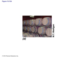 Figure 15.12d
© 2012 Pearson Education, Inc.
 
