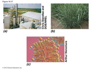 Figure 15.17
© 2012 Pearson Education, Inc.
 