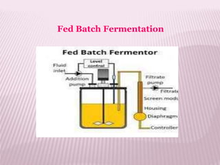 Fed Batch Fermentation
 
