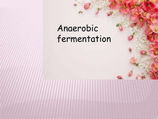Anaerobic
fermentation
 