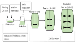 Upstream Procssing Industrial Microbiology .Upstream processing | PPTX