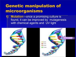 Industrial microbiology and biotechnology | PPTX