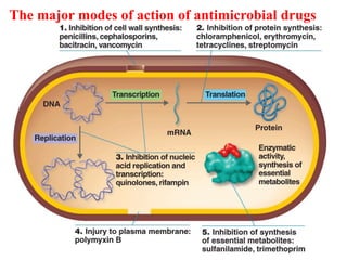 The major modes of action of antimicrobial drugs
27
 