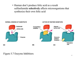 • Human don’t produce folic acid as a result
sulfanilamide selectively affects microorganisms that
synthesize their own folic acid
40
Figure 5.7 Enzyme Inhibitors
 