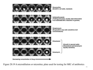 46
Figure 20.19 A microdilution or microtiter, plate used for testing for MIC of antibiotics
 