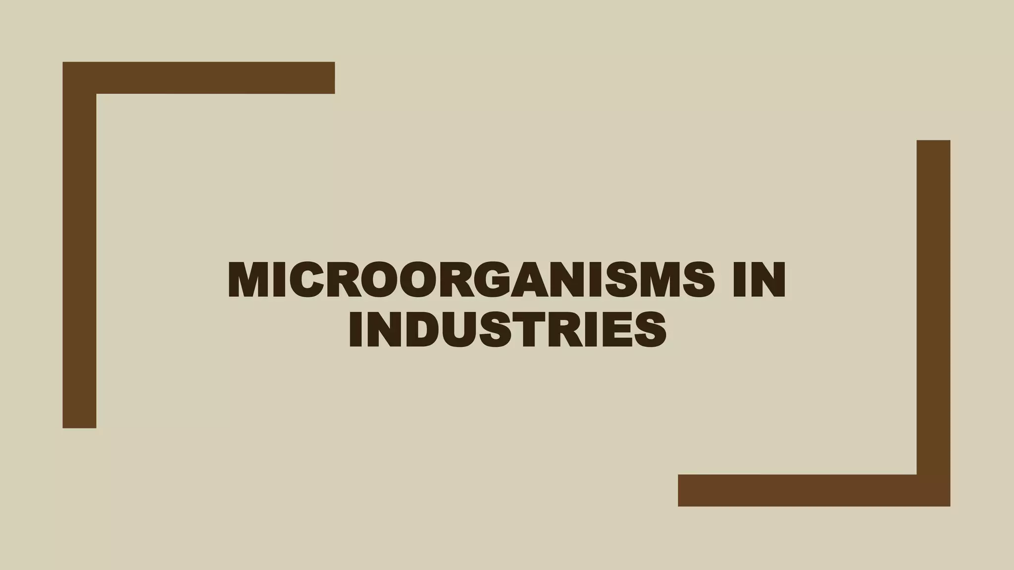 Microorganisms In Industry Industrial Microorganisms.pptx