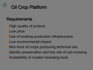 Industrial Oil Crops Supplying the Chemical Industry