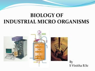 BIOLOGY OF
INDUSTRIAL MICRO ORGANISMS
By
S Vinitha B.Sc
 