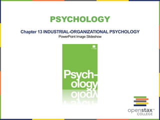 Chapter 13 INDUSTRIAL-ORGANIZATIONAL PSYCHOLOGY
PowerPoint Image Slideshow
PSYCHOLOGY
 