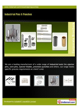 We are a leading manufacturer of a wide range of industrial tools like ejector
pins, core pins, ejector blades, precision punches and others. our range meets
specific process requirements at client’s end.
 