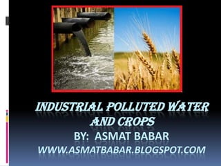 INDUSTRIAL POLLUTED WATER
AND CROPS
BY: ASMAT BABAR
WWW.ASMATBABAR.BLOGSPOT.COM

 