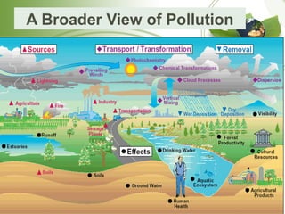 A Broader View of Pollution
 
