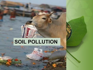 SOIL POLLUTION
 