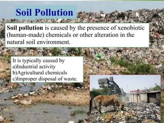 Soil pollution is caused by the presence of xenobiotic
(human-made) chemicals or other alteration in the
natural soil environment.
Soil Pollution
It is typically caused by
a)Industrial activity
b)Agricultural chemicals
c)Improper disposal of waste.
 