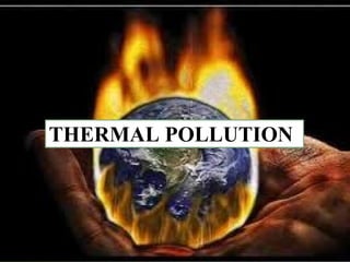 THERMAL POLLUTION
 
